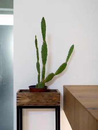 Real Street 21 公寓