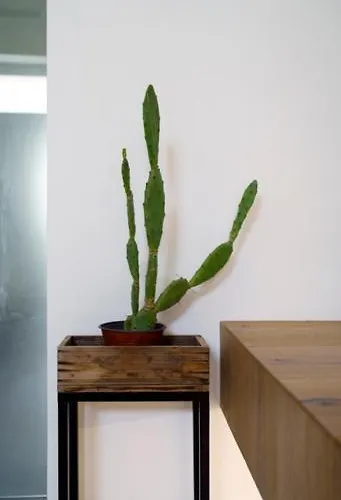 Real Street 21 Apartment